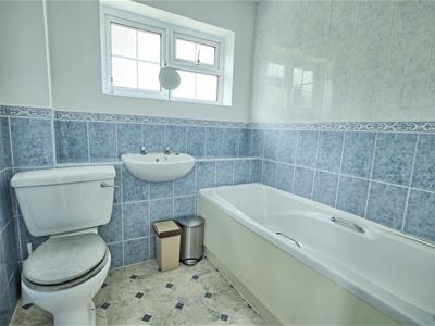 Picture 14